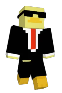 rissastink Minecraft avatar full body