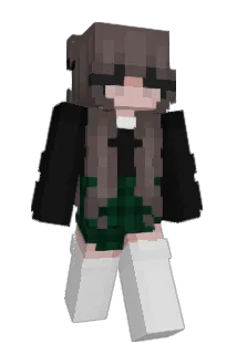rithz517 Minecraft avatar full body