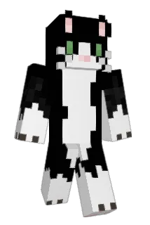 rjy0611 Minecraft avatar full body