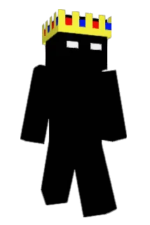 rlbbns Minecraft avatar full body
