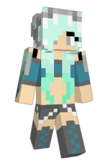 rln10162 Minecraft avatar full body