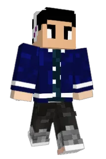 rm_3010 Minecraft avatar full body