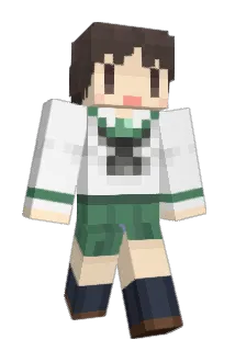 rmrm14 Minecraft avatar full body