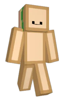rmrt Minecraft avatar full body