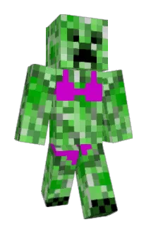 rnkartiko Minecraft avatar full body