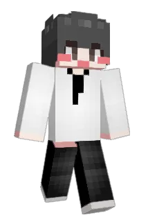 roa713 Minecraft avatar full body