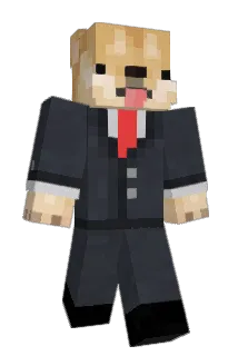 roayoyo Minecraft avatar full body