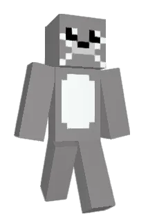 robbe0245 Minecraft avatar full body