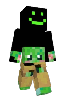 robbifroe Minecraft avatar full body
