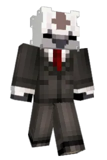 robertfalcon Minecraft avatar full body