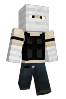 robidroid Minecraft avatar full body