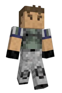 robin73 Minecraft avatar full body