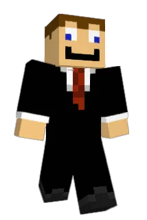 robinXrock Minecraft avatar full body