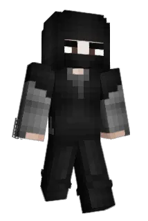 robinbuks Minecraft avatar full body