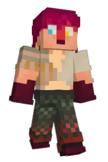 robinflock Minecraft avatar full body