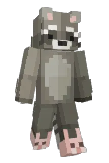 robinn_1312 Minecraft avatar full body