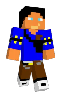 robinswid Minecraft avatar full body