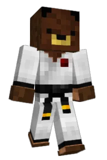 robn22 Minecraft avatar full body