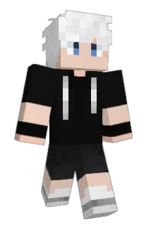 robolix11 Minecraft avatar full body
