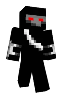 roboninja156 Minecraft avatar full body
