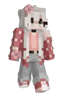 robstige Minecraft avatar full body