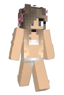 rocketman971 Minecraft avatar full body