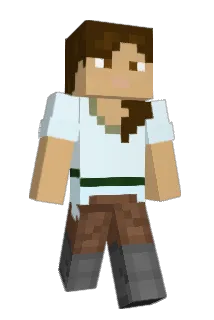 rockinsockin123 Minecraft avatar full body