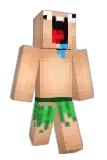 rodenkop Minecraft avatar full body