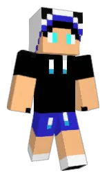 Custom render preview