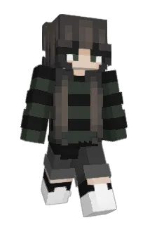 rogensvases Minecraft avatar full body
