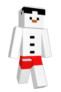 roger20034 Minecraft avatar full body