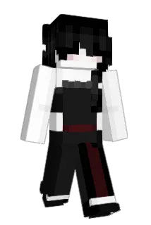 rohbihnson Minecraft avatar full body