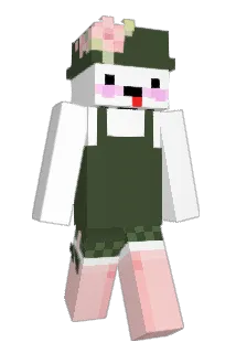 rohxn Minecraft avatar full body