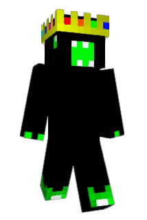 rokie295 Minecraft avatar full body
