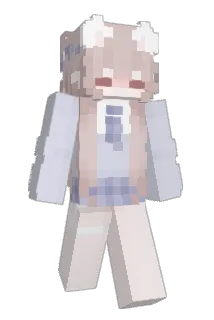 rokipon Minecraft avatar full body