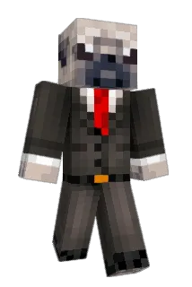 rolandocamacho Minecraft avatar full body