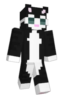 rolexcartier Minecraft avatar full body