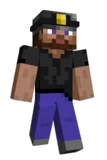 rollcycle Minecraft avatar full body