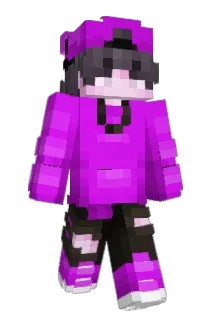 rollerboy861 Minecraft avatar full body