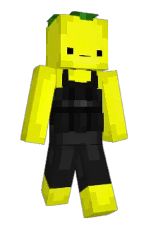romannodl Minecraft avatar full body