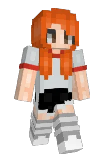 romsaes Minecraft avatar full body