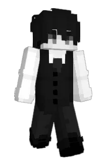 romualdi Minecraft avatar full body