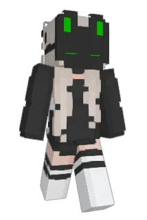 ronbinary Minecraft avatar full body