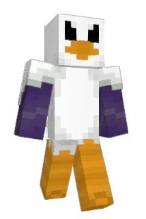 roninchamploo Minecraft avatar full body