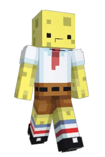 ronkain Minecraft avatar full body