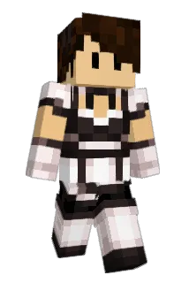 roo255 Minecraft avatar full body
