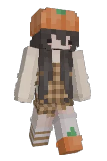 roobay Minecraft avatar full body