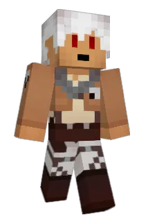 rook753 Minecraft avatar full body