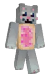 rookidae Minecraft avatar full body