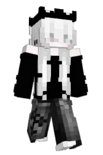 rookipooki Minecraft avatar full body